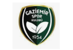 gaziemir panel değişimi